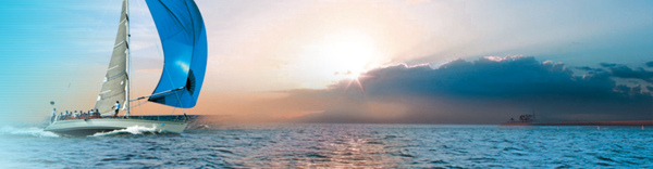 風(fēng)景banner