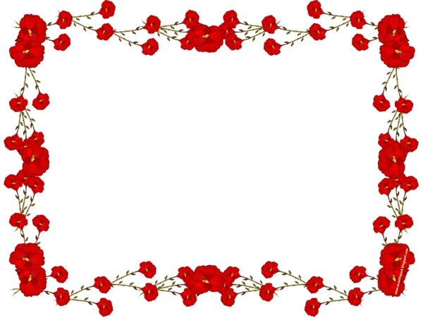 漂亮红花花卉边框免抠psd透明素材