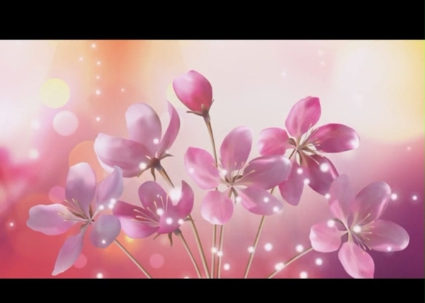 花朵星光舞台背景视频