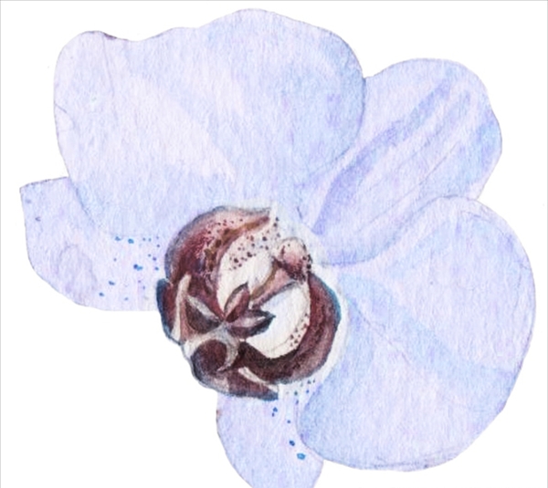 水彩花