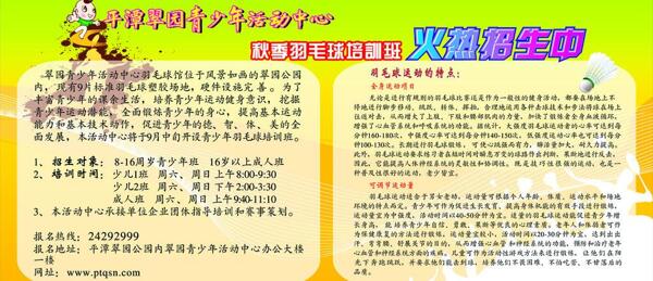 羽毛球培訓班展板圖片