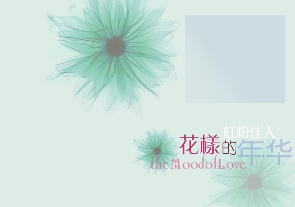 花樣的年華