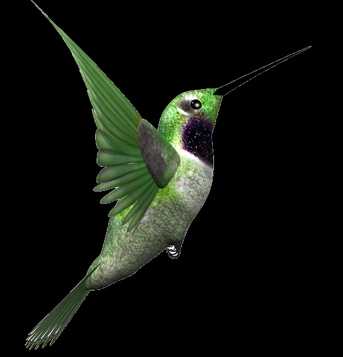 神气绿色尖嘴小鸟装饰元素