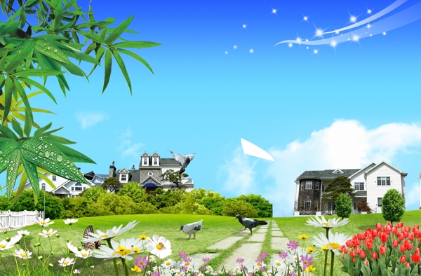 風(fēng)景圖片