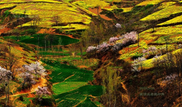 風景