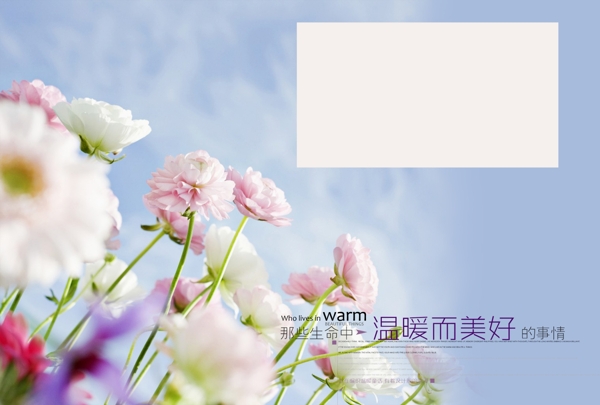 清新婚纱模板素材