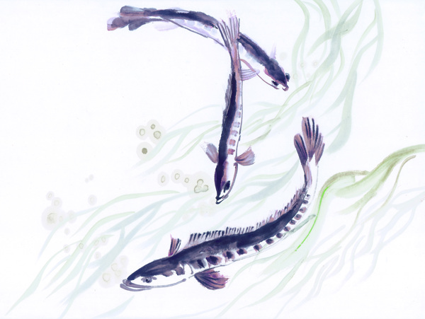 中國(guó)風(fēng)水墨畫魚蔬菜籃子中華藝術(shù)繪畫