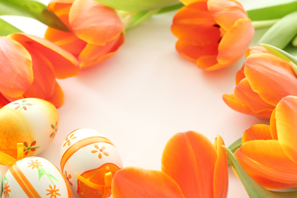 郁金香鲜花与彩蛋