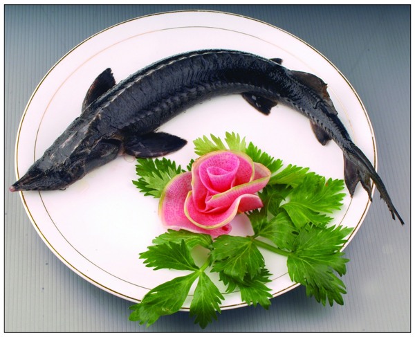清蒸鱘魚圖片