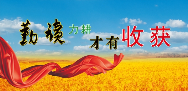 收货