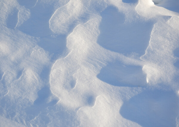 雪地