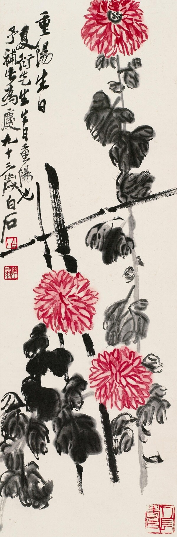 重陽(yáng)菊花