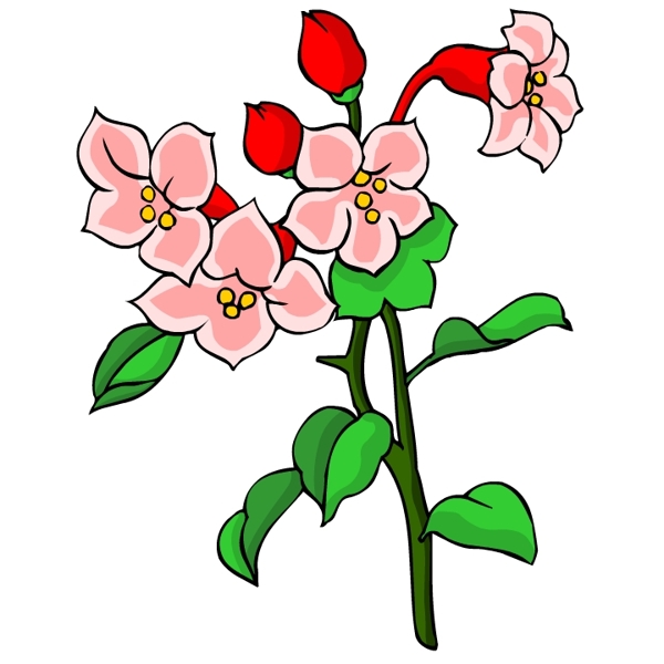 花卉古典插畫