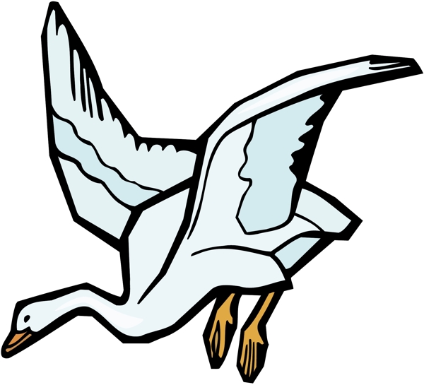 各種鳥類鳥動物矢量素材EPS格式0970
