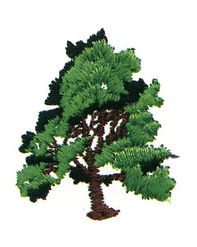 繡花植物樹色彩綠色免費素材