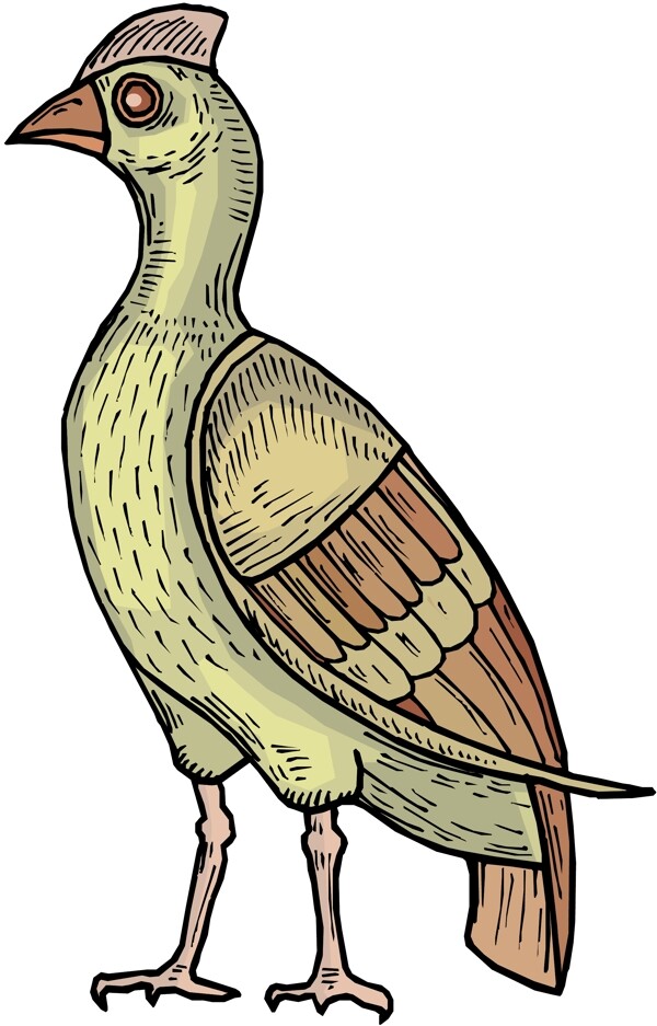 各種鳥類鳥動物矢量素材EPS格式0154
