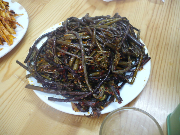 蕨菜圖片
