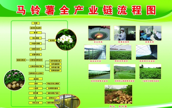 马铃薯全产业链流程图