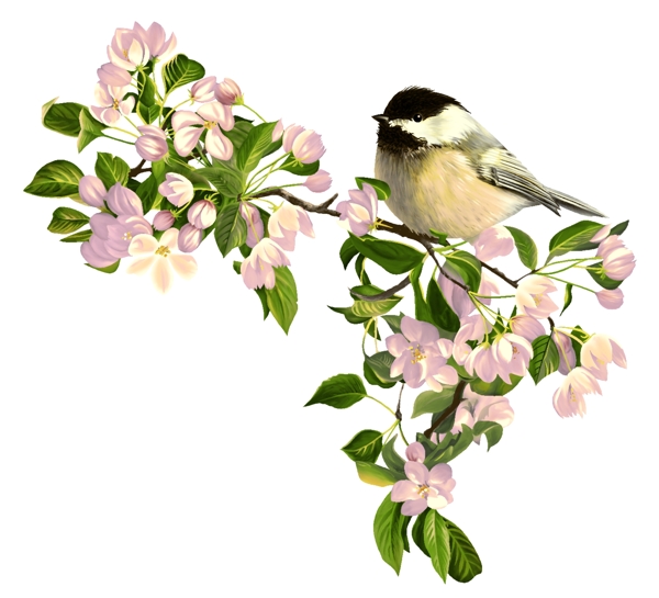 移門(mén)花鳥(niǎo)圖案圖片