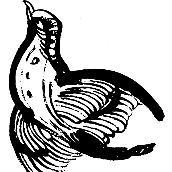 印花矢量圖動(dòng)物鳥(niǎo)類(lèi)色彩黑色免費(fèi)素材
