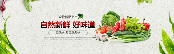 蔬菜banner