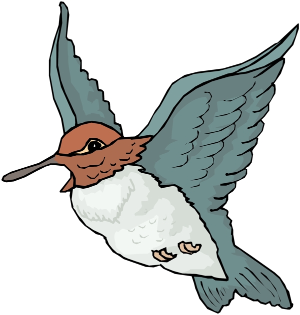 各種鳥類鳥動(dòng)物矢量素材EPS格式0194