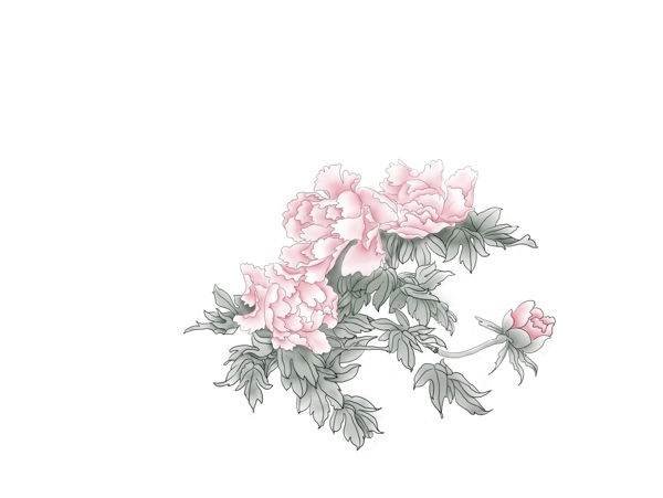 板繪牡丹花裝飾圖案