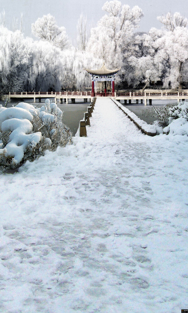 涼亭雪景