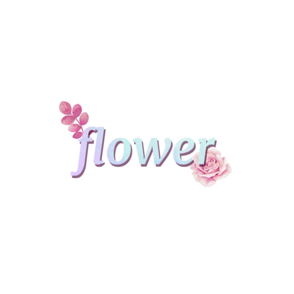 多彩花简单字体与粉红玫瑰
