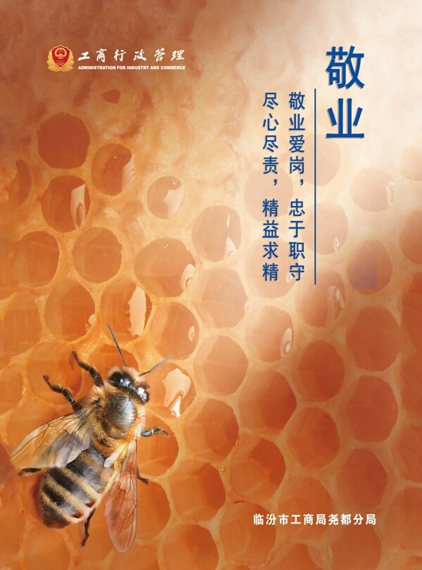 敬業(yè)燈箱片
