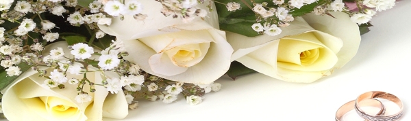 白色玫瑰花无框画