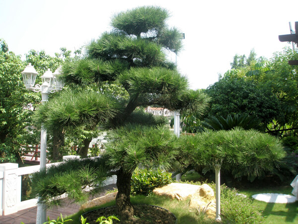 別墅花園圖片
