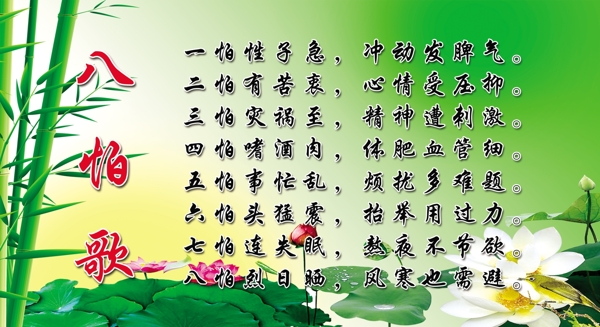 八怕歌圖片