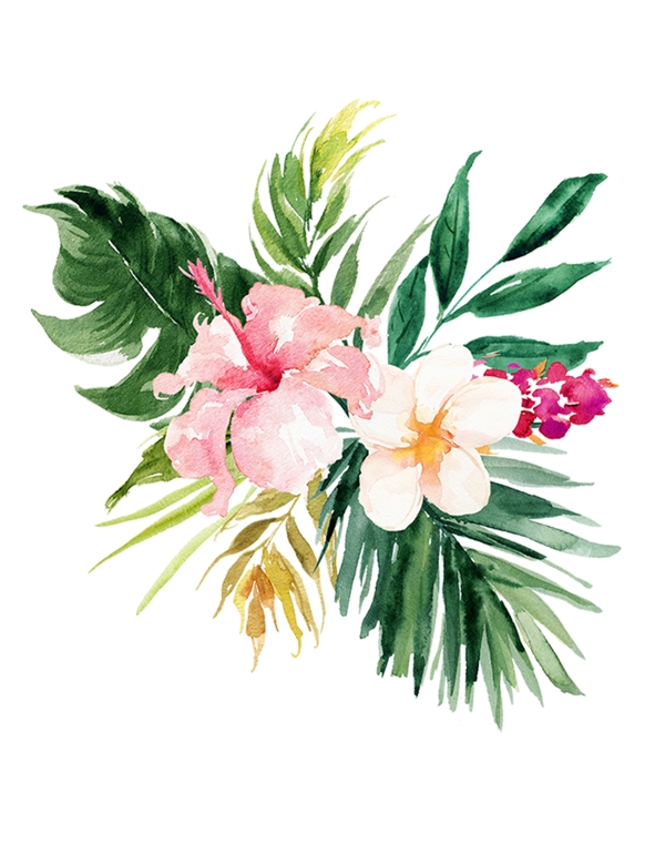 插畫花卉