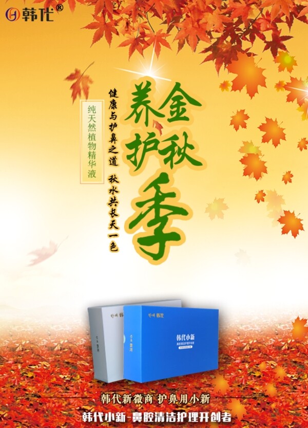 微商金秋養(yǎng)護(hù)季節(jié)楓葉產(chǎn)品圖