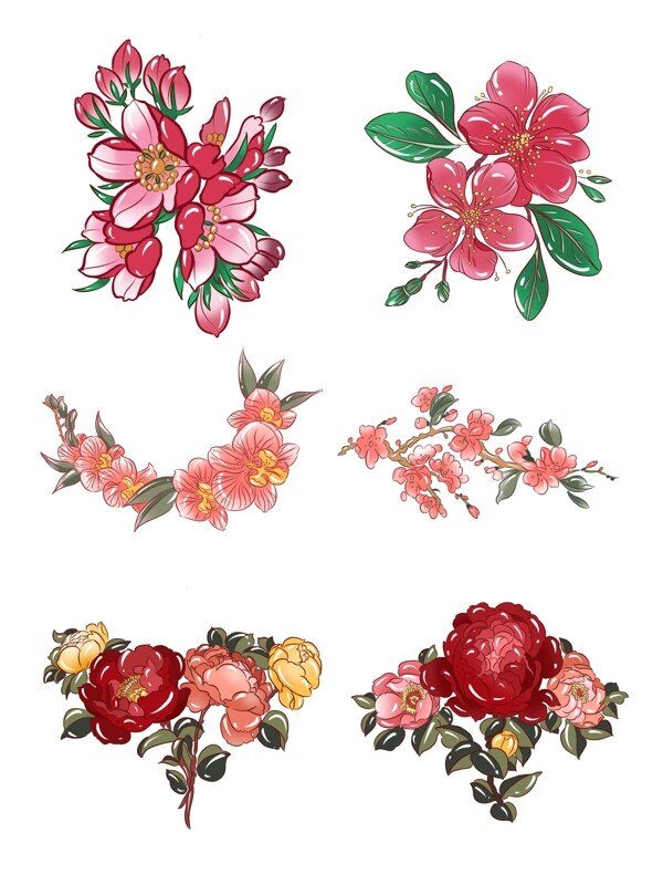 手绘植物传统花卉可商用