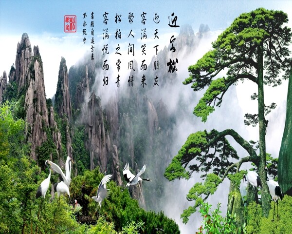 迎客松仙鶴