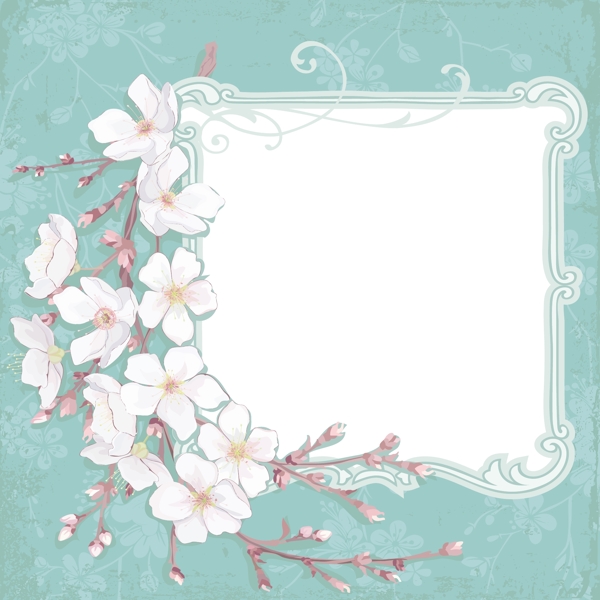 白樱花空白框