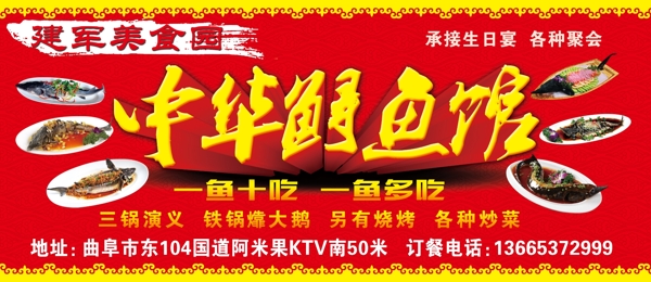 中華鱘