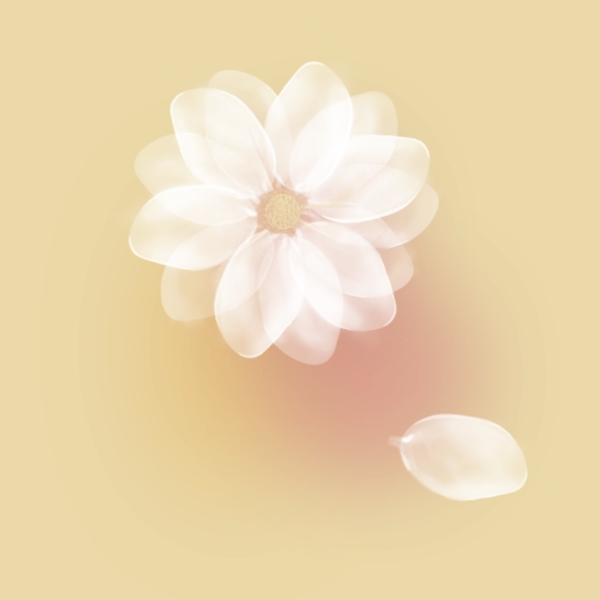 白色花朵