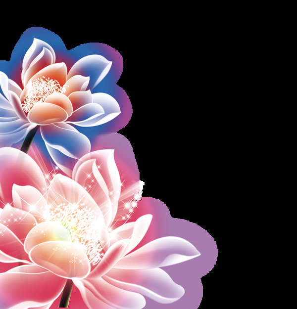 彩色發(fā)光荷花
