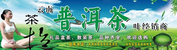 普洱茶招牌圖片