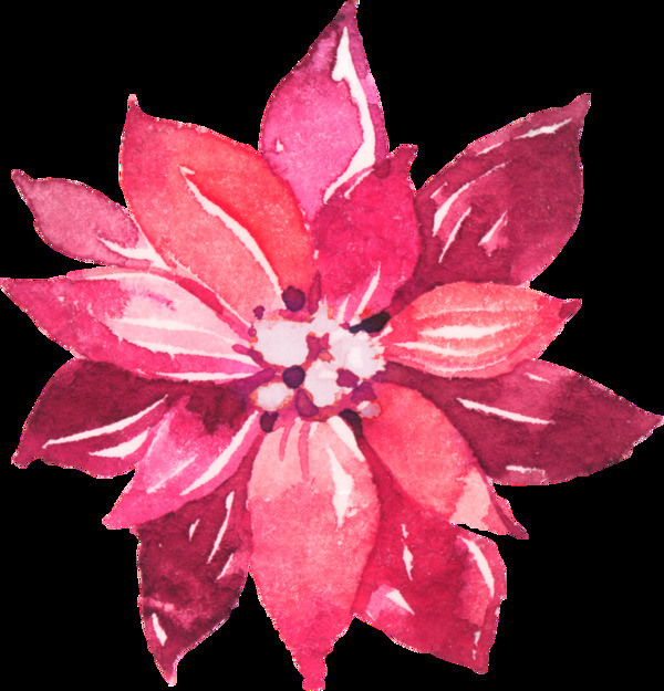 红色时尚花卉png透明素材