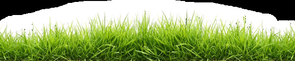 清新綠色草地png元素