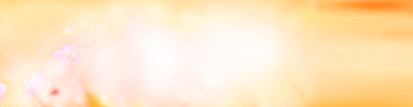 淘寶banner背景