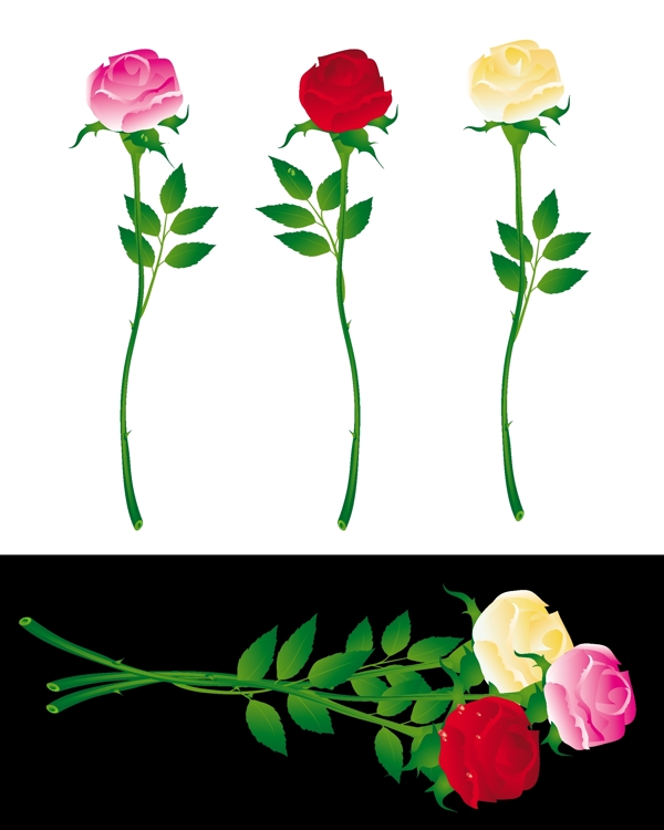 玫瑰花矢量