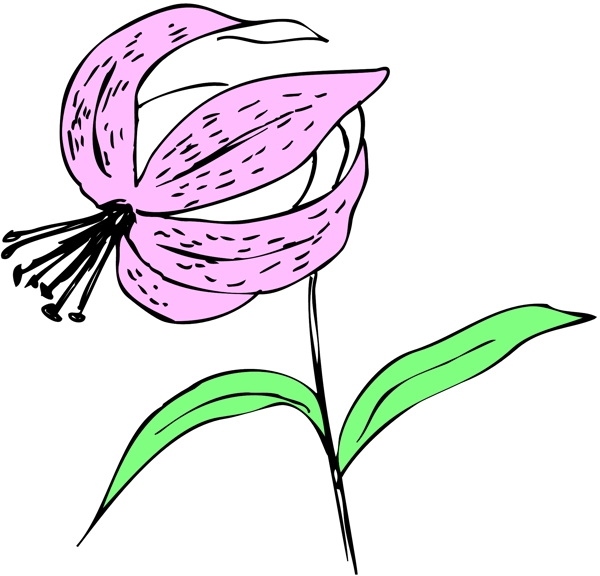 花朵花草鮮花矢量EPS格式0255