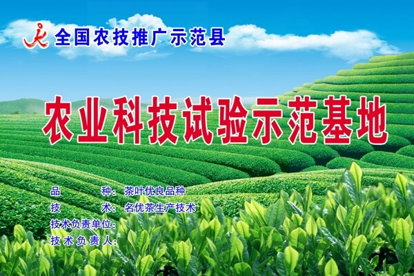 茶葉示范基地