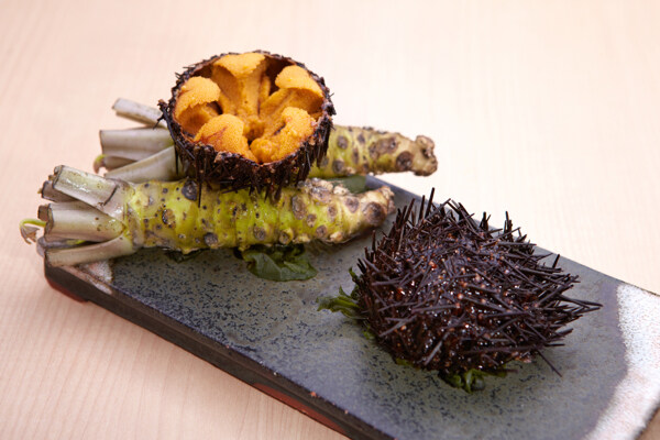 海膽圖片
