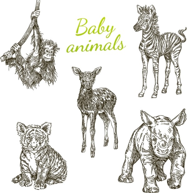 手绘动物宝宝矢量素材